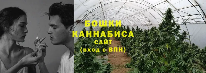 Канабис White Widow  даркнет сайт  Скопин 